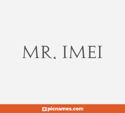 Mr. Imei